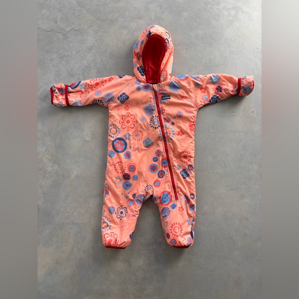 Patagonia Bunting